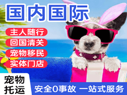 海口美兰航空快运国际宠物托运 【国